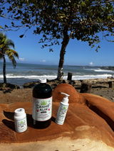Yeni Fernandez review photo