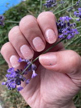 Karen H. review photo