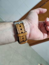 PEDRO RIBEIRO ARANTES review photo