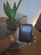 Alexsandro Cordeiro review photo