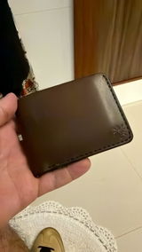 jose ricardo pisani filho review photo