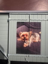 Russell Hide review photo