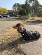 Debby review photo