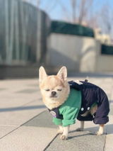 J Pham review photo