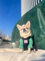 J Pham review photo