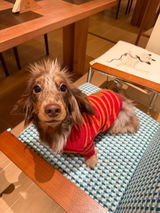 paco review photo