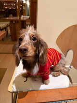 paco review photo