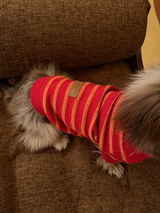 paco review photo