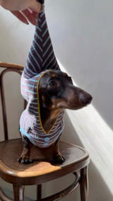 HOTDOG review photo