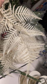 Etsy c. review photo