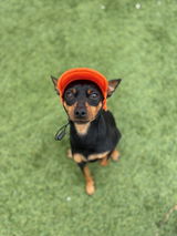 RIOYLULU review photo