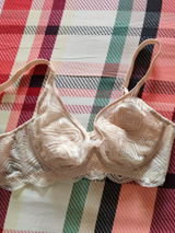 Willow B. review photo