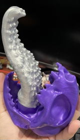 M.S. review photo