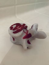 K.U. review photo