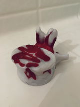 K.U. review photo