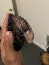 N. review photo