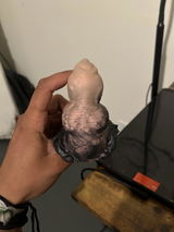 N. review photo