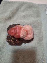 A. review photo