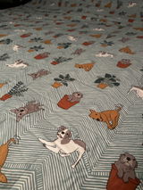 Dina Cochran review photo