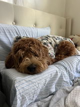 Anonymous review photo