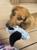 Carol Ward review photo