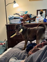 Anonymous review photo