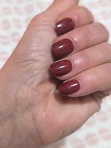 Lily Basseri review photo