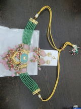 Shaona B. review photo