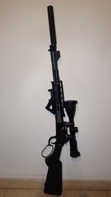 David D. review photo