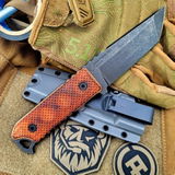 Denys Kliushnichenko review photo
