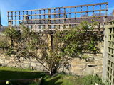 Madam Alfred Cariere Lesbury Northumberland review photo