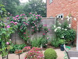 Sarah Cobbold review photo