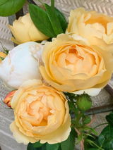 Many thanks Linda review photo