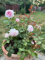 Olivia Cundell-Walters review photo