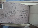 Gehad Hamdy review photo
