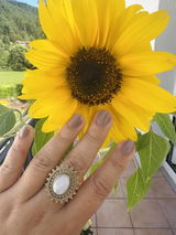 STEFANIE review photo