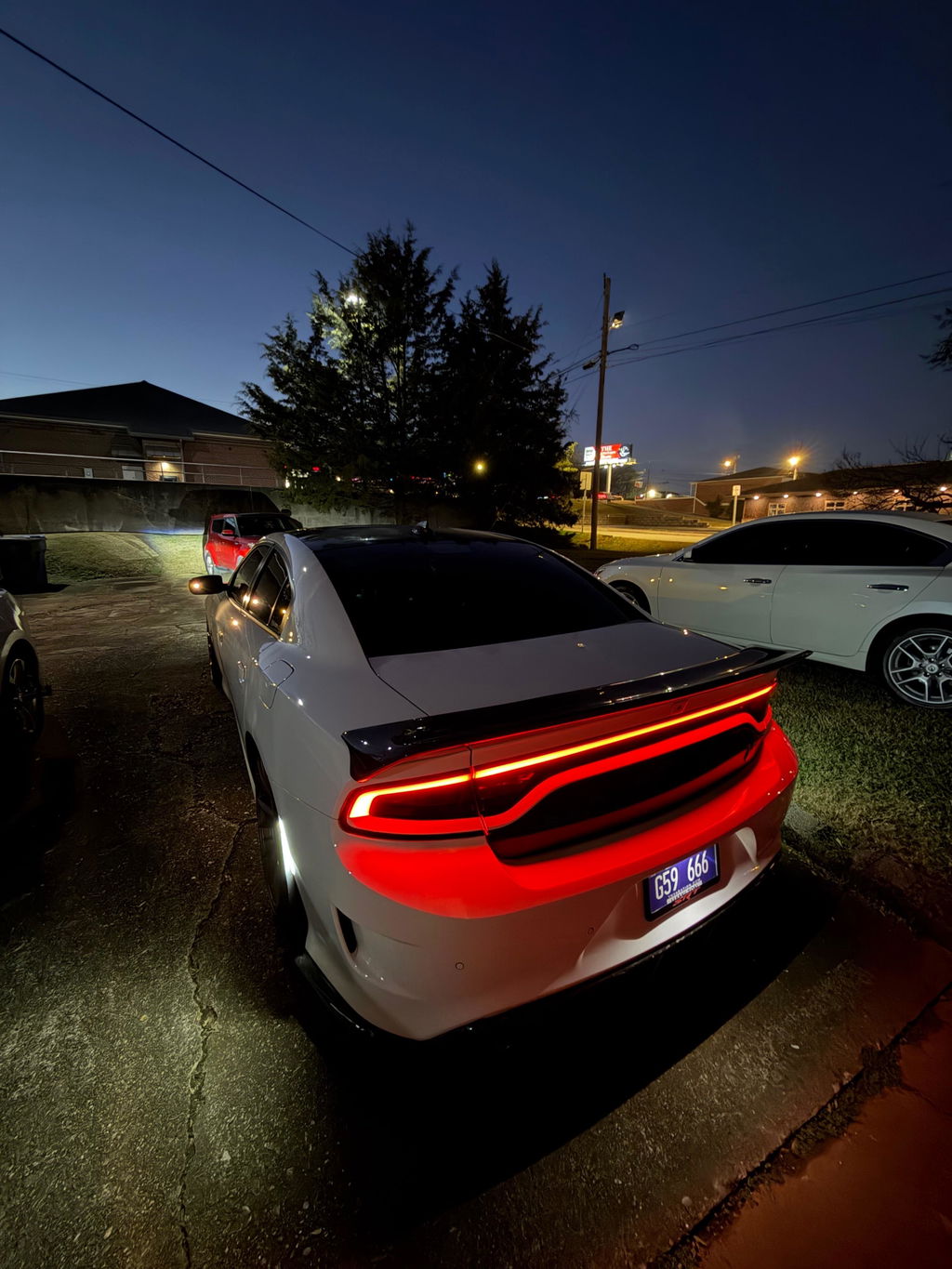 15-23 Dodge Charger Colored Taillight Tint Decal