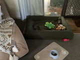 Karenblackburn review photo
