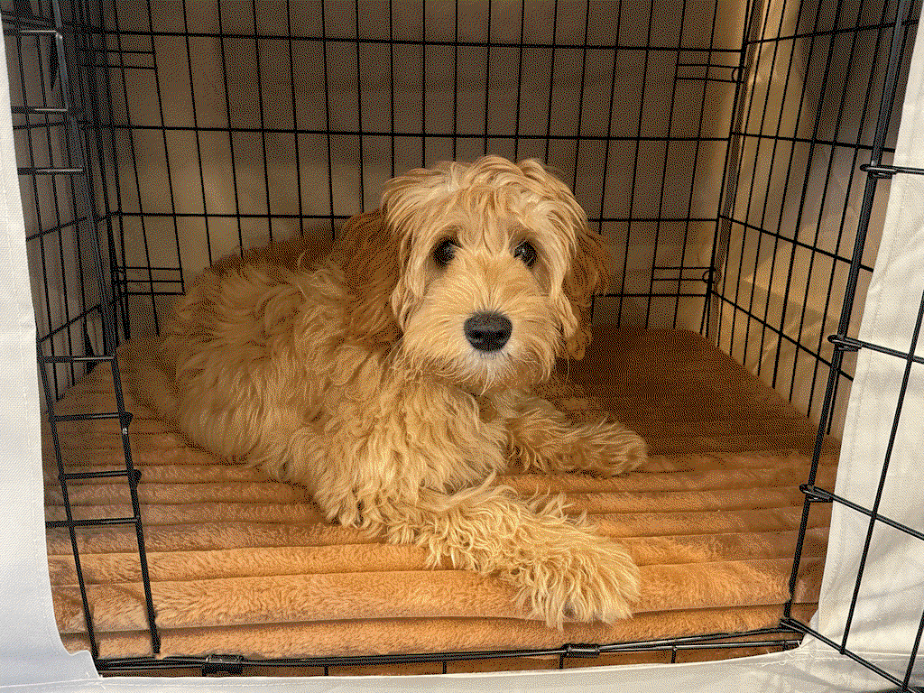Puffer Crate Mat - Nutmeg