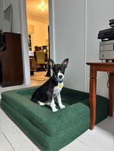 Phoebe review photo
