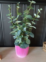 Charlotte Berg Andreassen review photo