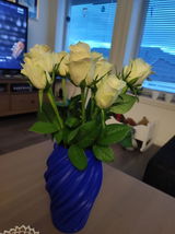 Signe Eidsnes review photo