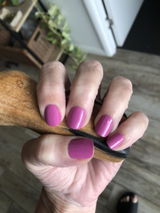 Monica review photo