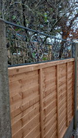 Nigel Appleby review photo
