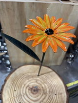 Nigel Kettlewell review photo