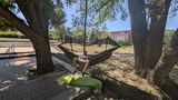 Mykhailo Voronin review photo