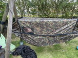Ollie Sneddon review photo