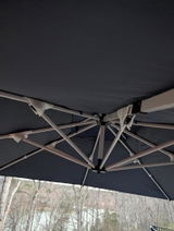 bigdawg54 review photo
