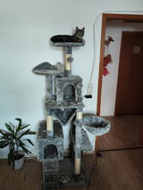 Salvo S. review photo