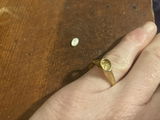 Molly D. review photo